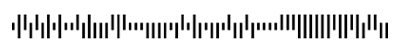 Example mail barcode