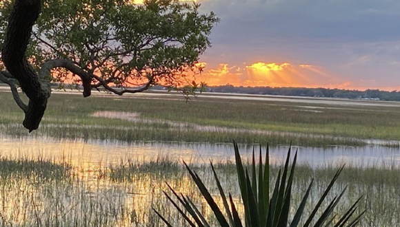 A Story About Resilience in Charleston County