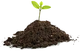 Compost Sprout