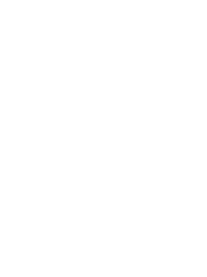 Charleston County White Icon (PNG)