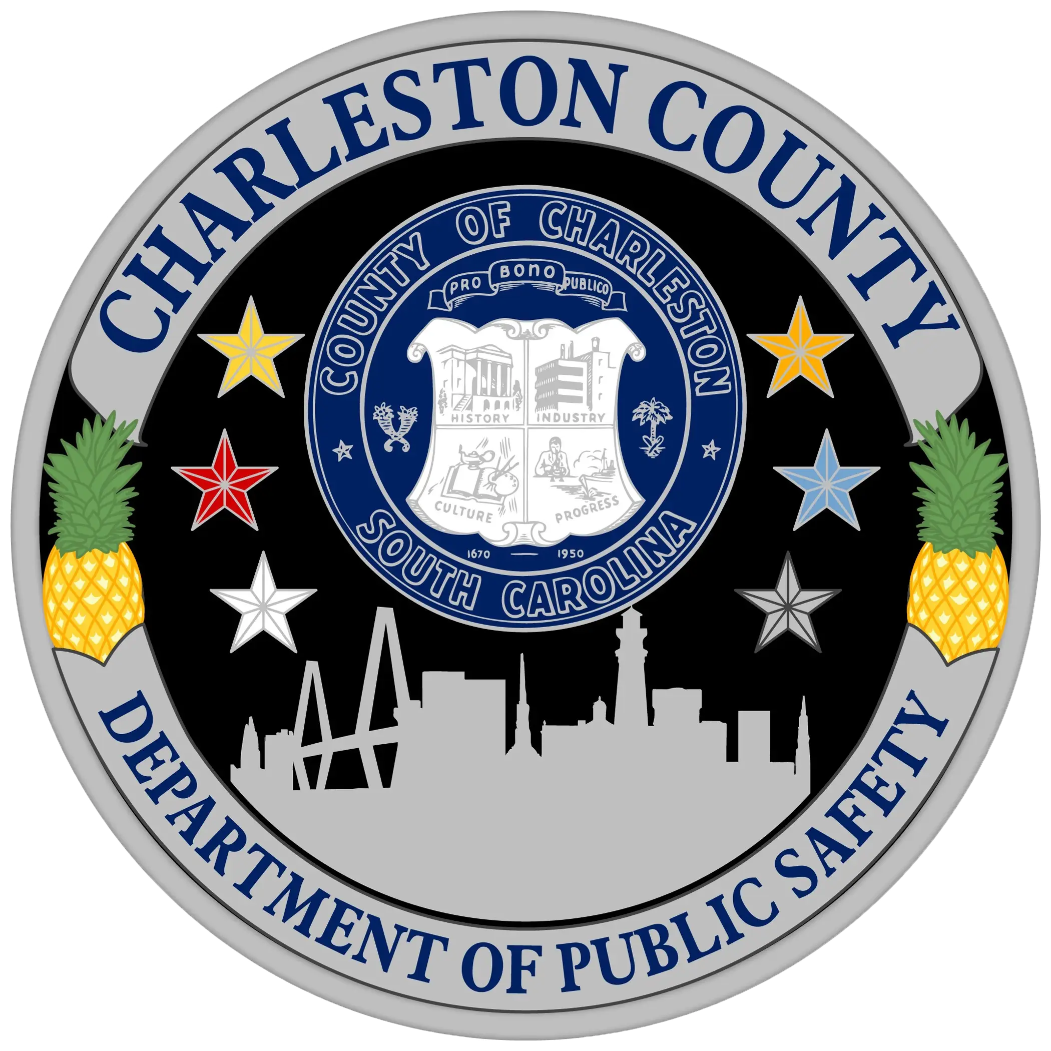 Department of Public Safety Logo